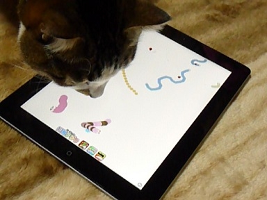 猫画像｜iPad、使う？