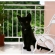 白ベンチの上の黒猫