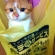 猫画像｜今日の購入品♡(笑)