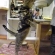猫画像｜美しく立つ猫！