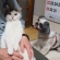 猫画像｜ミャオと犬