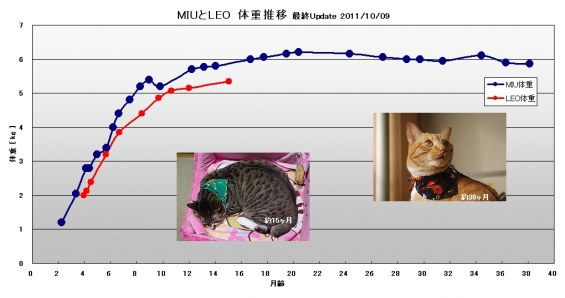 猫画像｜健康診断 &#039;11.10.09