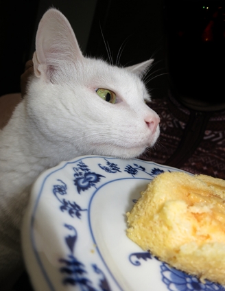 猫画像｜雪菜のグルメ　ママのロールケーキ再び