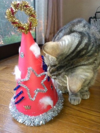 猫画像｜メリークリスマスにゃお～ん♪