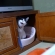 猫画像｜タマ小屋で変顔するタマ