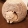 猫画像｜ヨーダの自宅はキャットバルーン