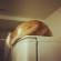 猫画像｜あれ？冷蔵庫の上にカレーパン！