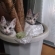 猫画像｜植木鉢はふたりの遊び場