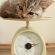 猫画像｜体重測定中♪
