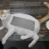 猫画像｜自立歩行型キーボード