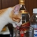 猫画像｜お酒はハタチになってから！