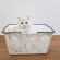 猫画像｜洗濯かごに入る猫