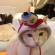 猫画像｜イケメン珀ちゃん帽子がよく似合うね！！