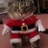 猫画像｜メリークリスマス！