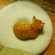 猫画像｜ドーナツクッションの穴は僕が寝る場所