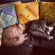 猫画像｜仲良し姉弟メープル&amp;マーブルお昼寝中