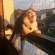 猫画像｜夕陽に向かって大あくび
