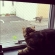 猫画像｜ビビリながら窓際警備