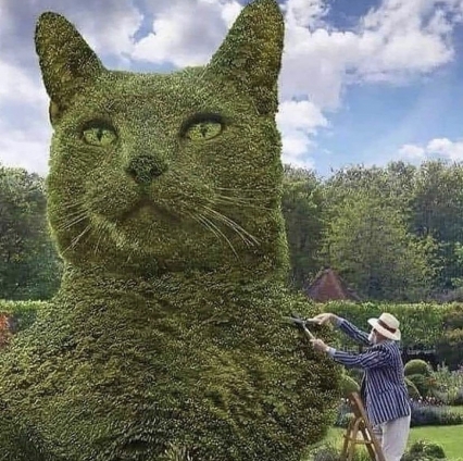 猫画像｜邸宅の庭に作ったザマス―