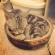 猫画像｜ネコ鍋
