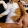 猫画像｜初めてご主人と抱っこ寝ニャ♡メルでーす！
