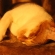 猫画像｜トンネルでひと眠りニャー♡メルでーす！