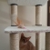 猫画像｜タムでも寝れる大型タワー！