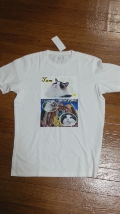 猫画像｜タムTシャツ！