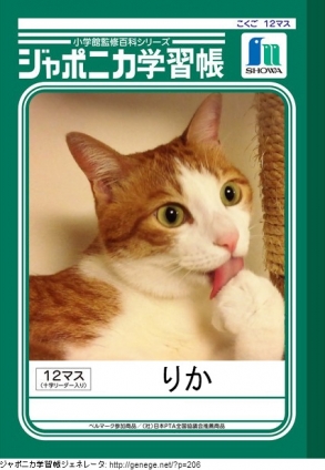 猫画像｜ジャポニカ学習帳3