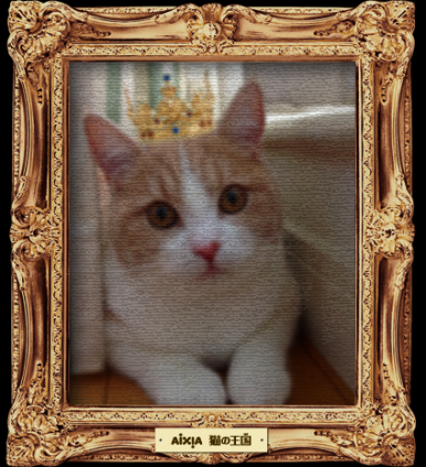猫画像｜ゴン左衛門王子の肖像画