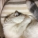 猫画像｜眠い眠いニャ。