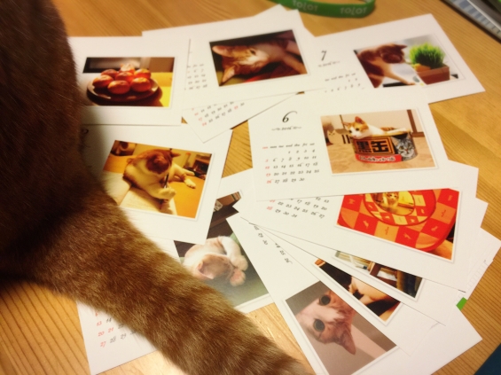 猫画像｜2016カレンダー♪*ﾟ