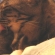 猫画像｜オシャレ中　の横顔