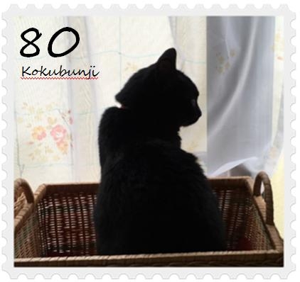 猫画像｜黒猫切手