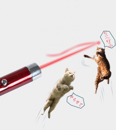 猫画像｜Cat pet laser play