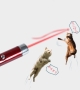 Cat pet laser play