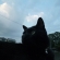 猫画像｜気持ちの良い朝。