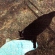 猫画像｜あっ！ママに隠れるなんてズルイ