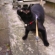 猫画像｜ジャンプ直前