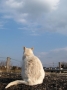 空を見上げて