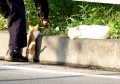 何してんの？