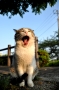 ふああああ～っ。