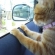 猫画像｜ドライブ♪２