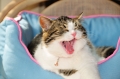 ふぅ～～疲れちゃった～