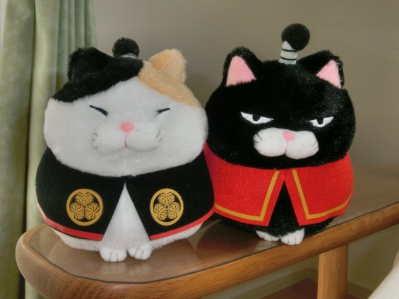 猫画像｜みー様