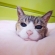 生首にゃ。