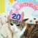 20歳になったニャ♪