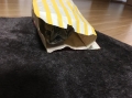 マックの袋に入りたガール